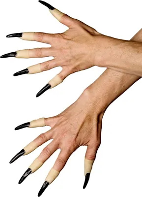 Produktbild von Fingerkuppen mit schwarzen Krallen