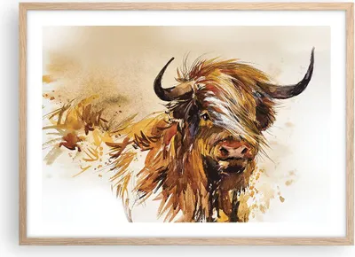Produktbild von Gerahmtes Poster - Rahmen in heller Eiche - Stier Scotch Aquarell - 70x50 cm - Wand Bild - Wanddeko - Wandbilder - Kunstposter - Wandposter - Bilderrahmen - Bilder - Kunstdruck - P2NAA70x50-4708