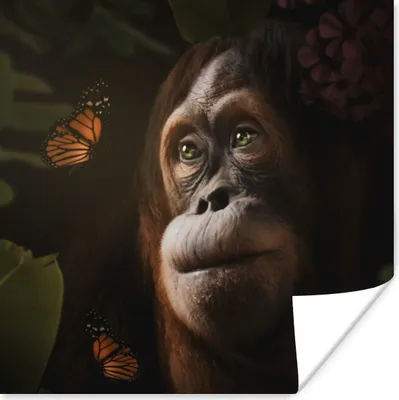 Produktbild von MuchoWow® Poster Schmetterling - Affe - Dschungel 100x100 cm - Babyzimmer