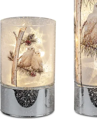 Produktbild von LED Lampe, Leuchte Zylinder WINTEREULEN auf Zweig H. 15cm silber Formano W25