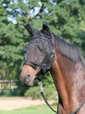 Produktbild von Busse Fliegenmaske FLY GUARD PLUS