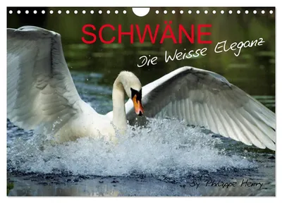 Produktbild von Kalender 2027 · US-Version · SWEENS. (Wandkalender 2027 12" × 8" Querformat), CALVENDO 12-Monats-Wandkalender