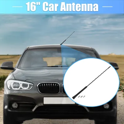 Image de Antenne de signal radio AM FM universelle de voiture 16"