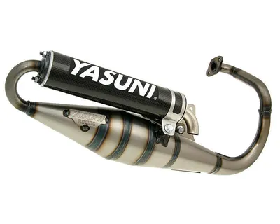 Image de Echappement Yasuni Scooter Z Carbon pour Peugeot debout