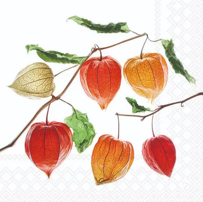 Image de Serviettes d'automne Lunch 33 x 33 cm 3 plis 20 serviettes Lampion flower