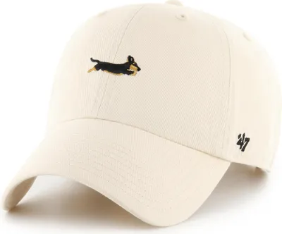 Produktbild von '47 Brand Cap Dog Base Runner Icon '47 CLEAN UP Natural