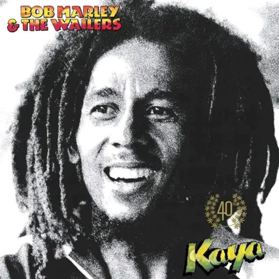 Produktbild von Kaya 40 (2CD)