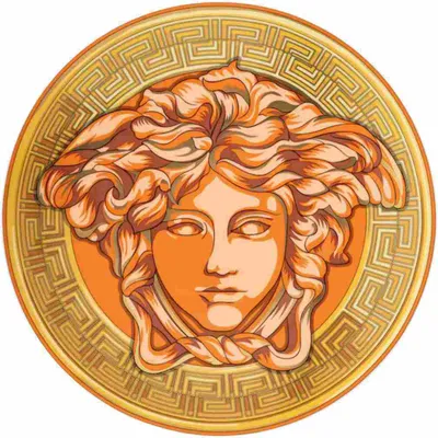 Zdjęcie produktu dla VERSACE HOME Medusa Wzmocniony uchwyt 33 Pomarańczowy