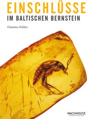 Obrázek produktu pro Einschlüsse im baltischen Bernstein