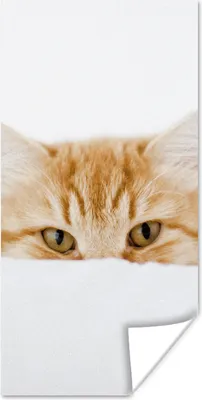 Produktbild von MuchoWow® Poster Katze - Rot - Weiß - Mädchen - Jungen - Kind 80x160 cm - Kinderzimmer