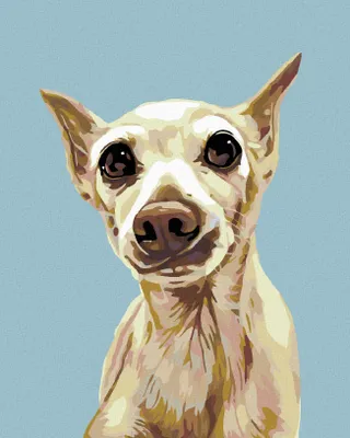 Obrázok produktu pre Zuty - Maľovanie podľa čísel - VYDESENÝ PSÍK, 40x50 cm, vypnuté plátno na rám