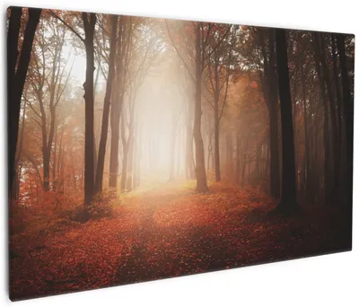 Produktbild von Wallario Premium Leinwandbild Herbstwald - Weg zu einer Lichtung im Wald in Größe 60 x 90 cm