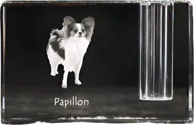 Productafbeelding van Vlinder kristallen pennenhouder met hond Art-Dog