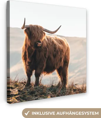 Zdjęcie produktu dla MuchoWow® - Obraz na płótnie - Szkocki góral - Zwierzęta - Wiejski - Krajobraz - Krowa - Natura, fototapeta, dekoracja ścienna, obrazy do salonu, 50x50cm