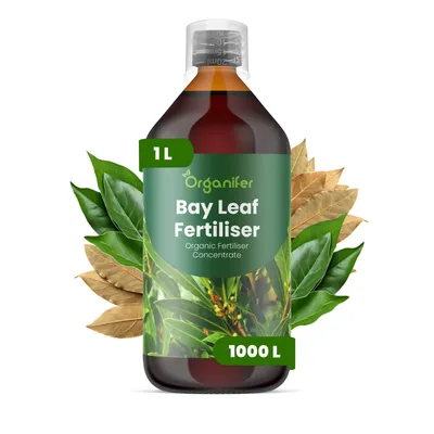 Produktbild von Lorbeer Flüssigdünger 1L – 3-4-3 NPK – Flüssigdünger Für Kräuter & Zierpflanzen – Fördert Vitalität & Aroma – Organifer