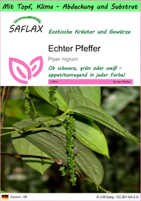 Produktbild von SAFLAX Garden to go - Echter Pfeffer - Piper nigrum - 20 Samen - Mit Topf, Klima - Deckel und Anzuchtsubstrat