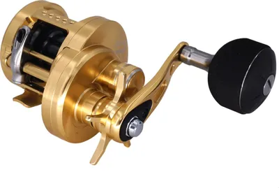 Produktbild von Shimano Ocea Conquest 201 PG LH