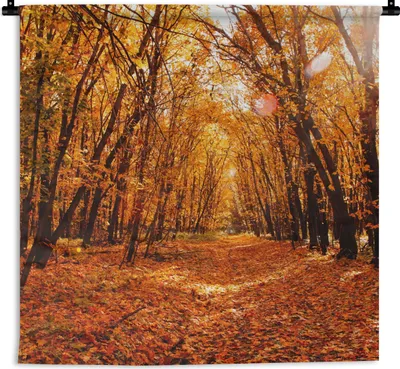 Produktbild von MuchoWow® Wandteppich Wandbehang Herbst - Wald - Laub - Jahreszeiten 60x60 cm Tapisserie Dekoration Wandtuch - Dekorationen - Wand Decke