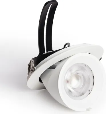 Produktbild von LED Downlight 30W Rund Schwenkbar 36º  Chip CCT 120 lm/W  Ausschnitt Ø 140 mm Wählbar (Warm-Neutral-Kalt)