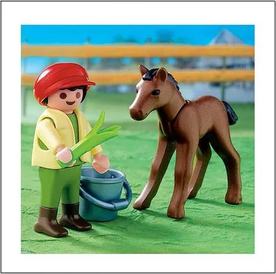 Produktbild von PLAYMOBIL 4647 Junge mit Fohlen