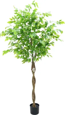 Immagine prodotto di Ficus artificiale - Pianta in vaso - Altezza 160 cm - Foglie realistiche - Con vaso - Facile da curare - Per interni