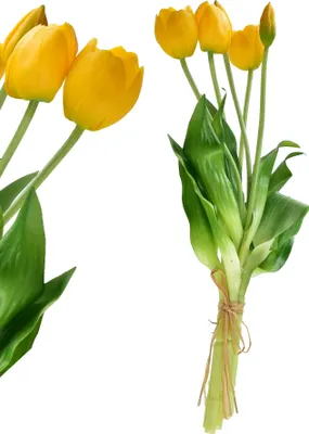 Image de Bouquet de tulipes en silicone Viridis, 40 cm, jaune, 5 pièces