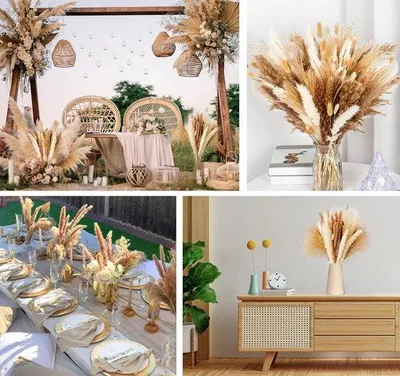 Produktbild von Famanu Trockenblumenbouquet 120 Stück - Pampasgras und Zubehör