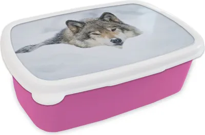 Produktbild von KitchenYeah® Lunchbox Brotzeit Brotdose 17x11 cm Wolf - Schnee - Mantel Kinder Brotzeitdose - Lunchpaket - Brotkasten  - Sandwich Box