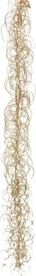Produktbild von Gelockte Girlande beige 103 cm (S) Kunstblume Erutan Avon