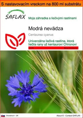 Obrázok produktu pre SAFLAX Garden in the bag - Modrá nevädza - Centaurea cyanus - 27000 Semená - S pestovateľským substrátom v praktickom samostaviteľnom vrecku