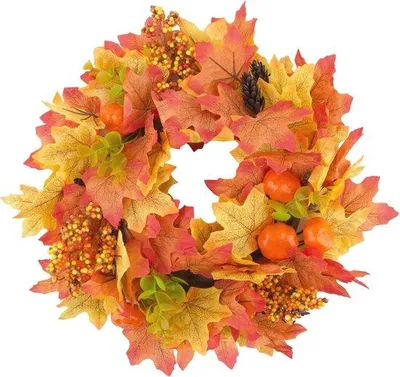 Produktbild von Famanu Pflanzenstützen mit Ringen 24 Stück 40 cm - Metall Gartenpflanzen Unterstützung