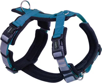 Produktbild von Nobby Geschirr Daily Walk Comfort hellblau, Größe: L