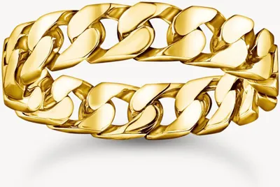 Produktbild von Thomas Sabo Rebel Basics TR2496-413-39-50 Ring