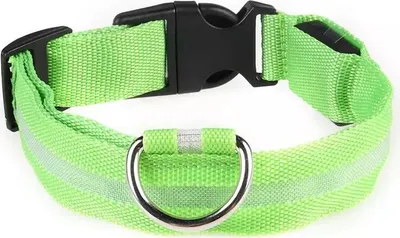 Image de Collier LED pour chien Mesh /Green S