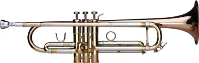 Obrázek produktu pro Lechgold TR-14G Bb trumpeta