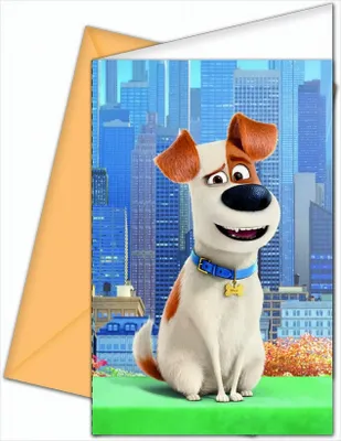 Produktbild von Pets 6 Einladungskarten