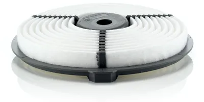 Immagine prodotto di Filtro aria MANN-FILTER C 2223