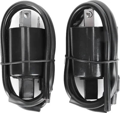 Two black ignition coils with wires, shown against a white background.