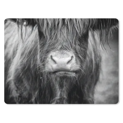 Produktbild von MuchoWow® Mauspad Mousepad Schottischer Highlander - Haare - Tiere 23x19 cm - Mousepads - Maus Mat - Pad - Mausunterlage - Schreibtischunterlage - Mauspad
