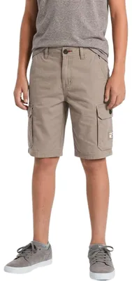 Image de Short cargo Billabong All Day pour garçon, beige, taille 158