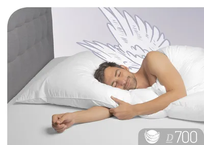 Produktbild von Schlafstil Kissen 3-Kammerkissen D 700 40 x 80 cm