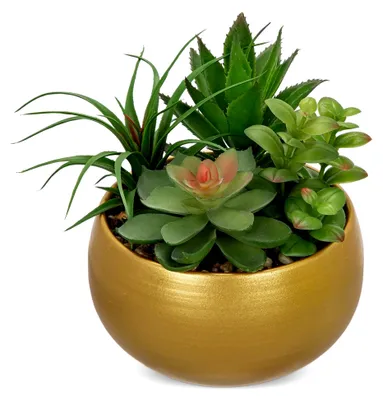Produktbild von Kunstpflanze Sukkulenten im Zementtopf, Höhe 16 cm