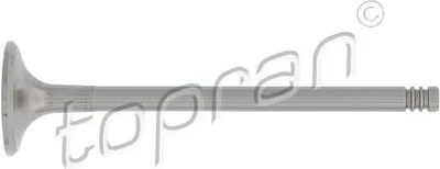 Produktbild von TOPRAN Einlassventil 110 210 zylinderkopf einlassseite für VW PASSAT (3B3)