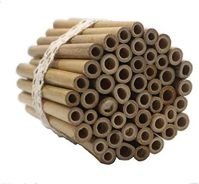 Produktbild von Bambusröhren 10 cm, 50 Stück, wiederverwendbar, für Insektenhaus, Wildbienenhotel