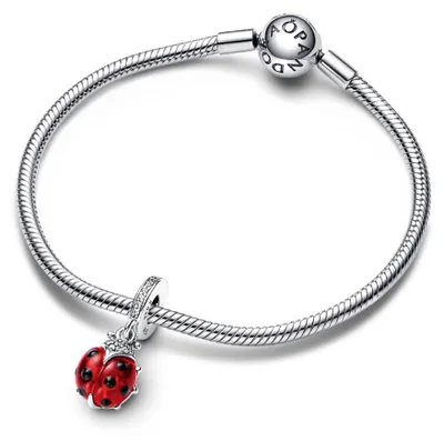 Obrázek produktu pro Pandora model 792571C01