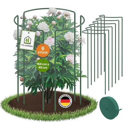 Produktbild von TTL GARDEN Strauchstützen 6er Set 160x40cm + Klettband Pflanzenstütze grün