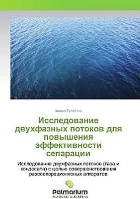 Produktbild von Gusejnov, C: Issledovanie dvuhfaznyh potokov dlya povysheniy