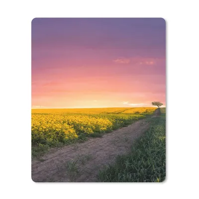 Produktbild von MuchoWow® Mauspad Mousepad Blumen - Straße - Himmel - Gelb - Lila - Sonnenuntergang - Natur 30x40 cm - Mousepads - Maus Mat - Pad - Mausunterlage - Mausmatten