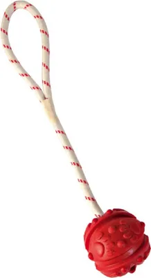 Obrázek produktu pro Hračka pes Míč plovoucí na šňůrce 7cm/35cm TR