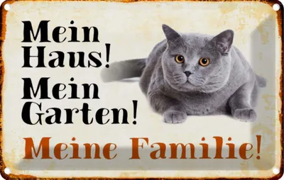 Produktbild von vianmo Blechschild 20x30 cm Tiere Katze mein Haus Garten Familie Tier Haustier